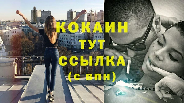 ECSTASY Гусь-Хрустальный