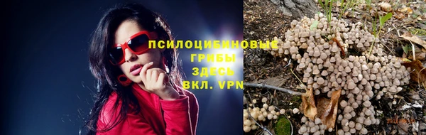mdpv Лагань