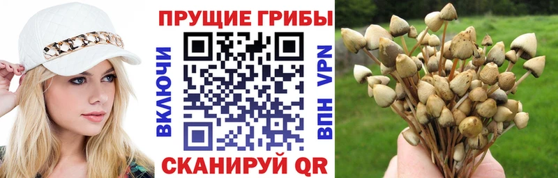 Псилоцибиновые грибы мицелий  где найти   Невьянск 